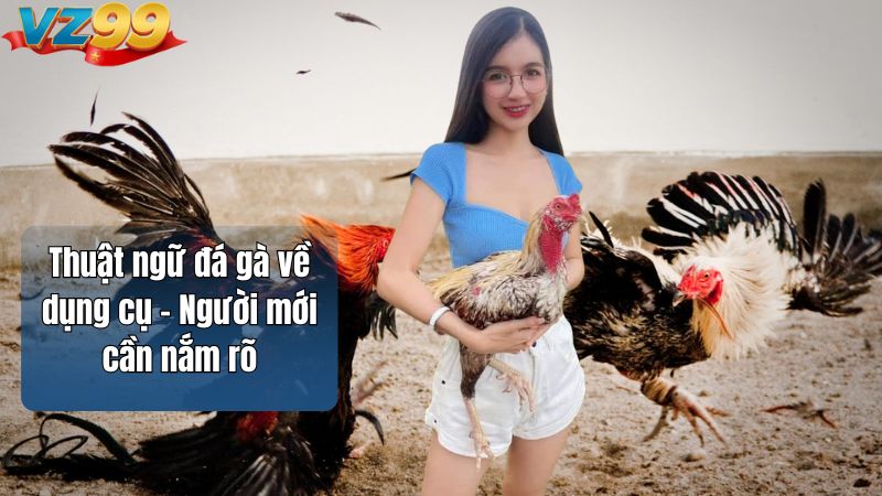 Thuật ngữ đá gà VZ99 – Nền tảng nhập môn đúng cách 2026 4 Thuật ngữ đá gà về dụng cụ – Người mới cần nắm rõ